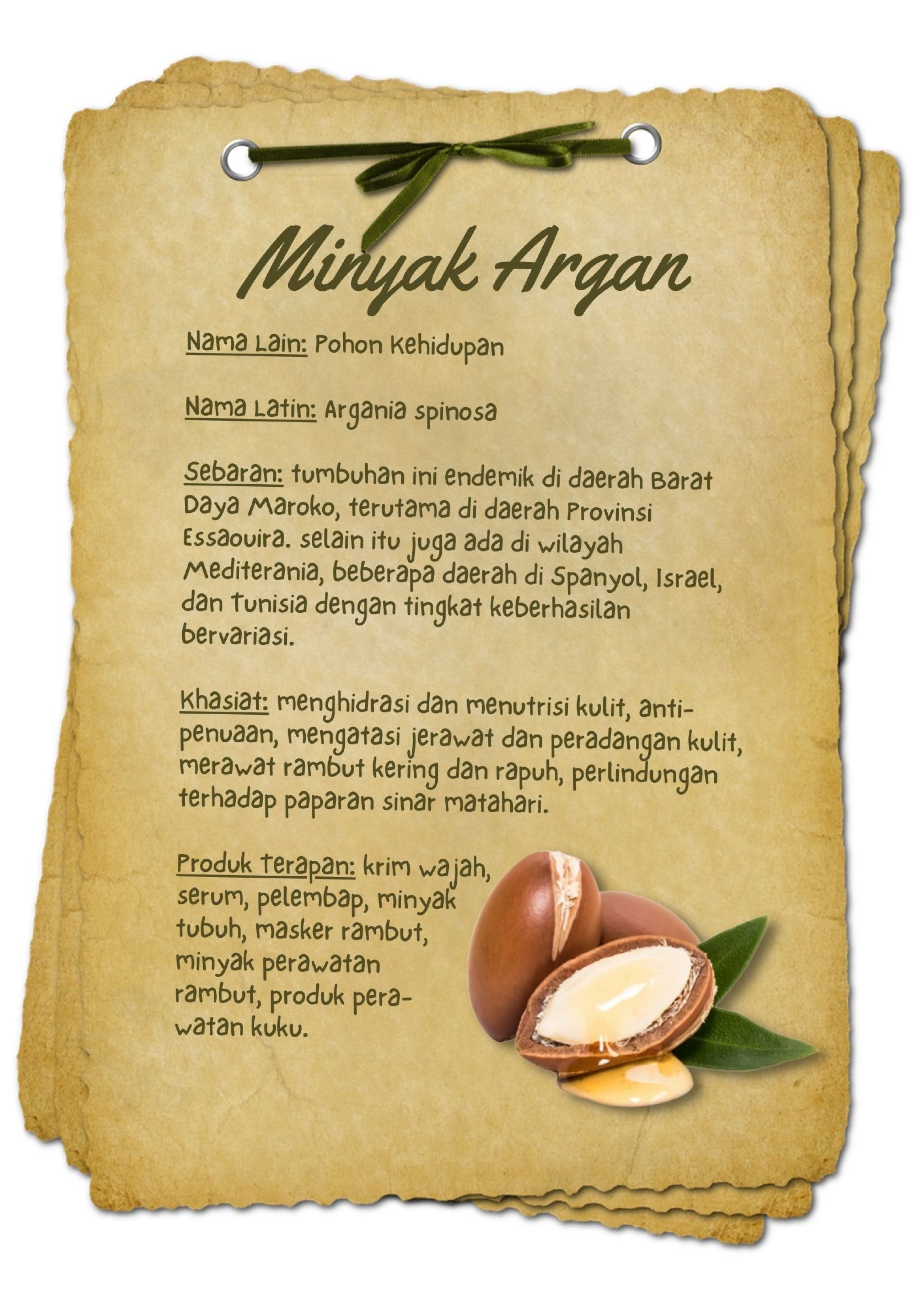 BAHAN AKTIF Minyak Argan.jpg